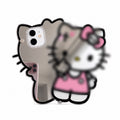 HK Mirror Phone Case